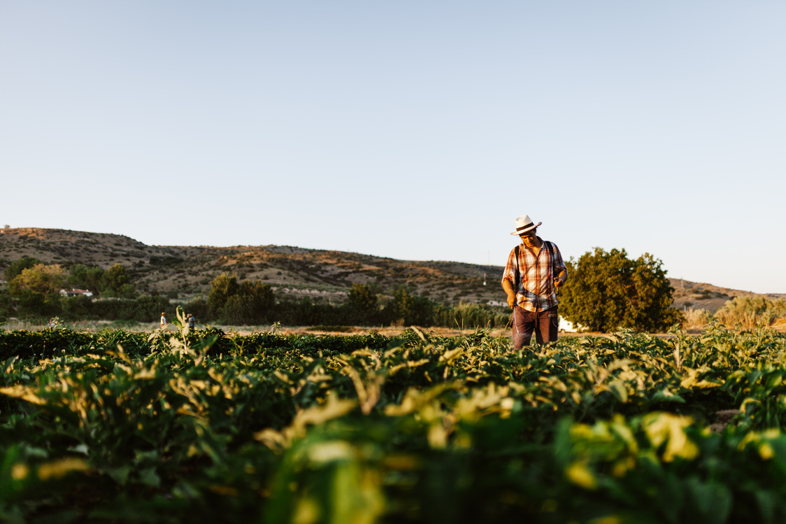 Young Farmer Spraying Organic Fertilizer