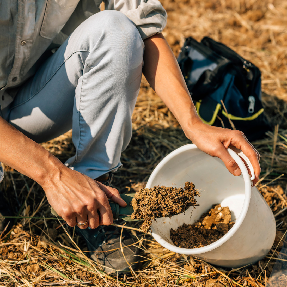 Soil Fertility Analysis. Female Agronomist Taking Soil Samples